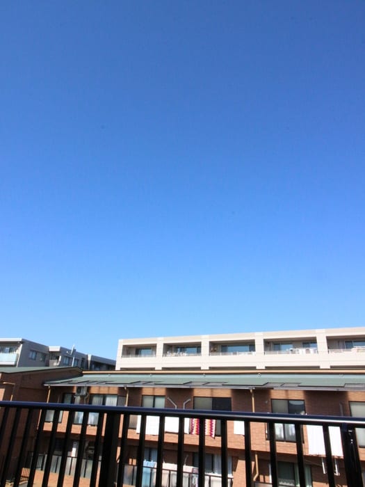 室内からの展望 ﾊｰﾓﾆｰﾚｼﾞﾃﾞﾝｽﾊﾟﾚｽﾌﾛﾝﾄ