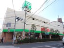 サミット滝野川紅葉橋店(スーパー)まで730m コ－ポタツナカ