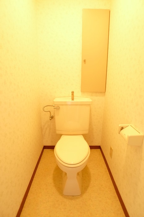 トイレ サンキャッスルⅡ