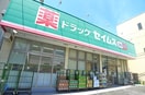 セイムス(ドラッグストア)まで253m Ruhe南小岩