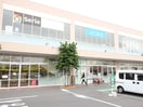 三和 アメリア寒川店(ショッピングセンター/アウトレットモール)まで560m レモンハイム