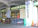 ヤマイチ(スーパー)まで500m サンオリエント