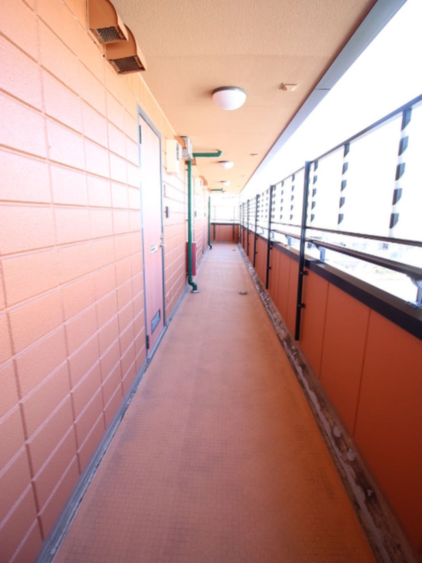 廊下 プレジデントシープ