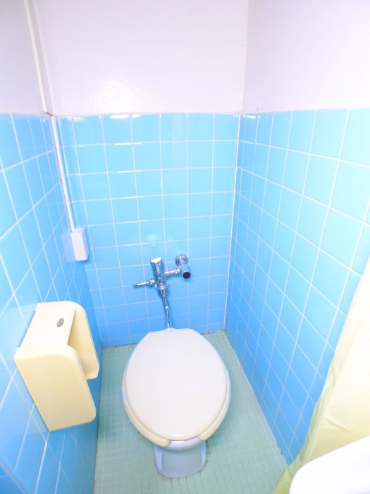 トイレ 柏グリーンコーポ