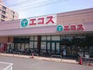 エコス上広谷店(スーパー)まで700m ボナチッタ1号棟