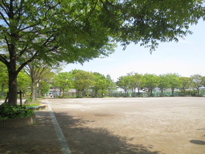 落合中央公園(公園)まで552m プラチナフォルム東中野