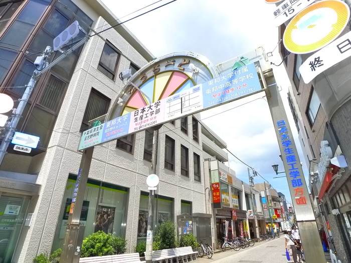 日本大学(大学/短大/専門学校)まで550m アヴェニール京成大久保