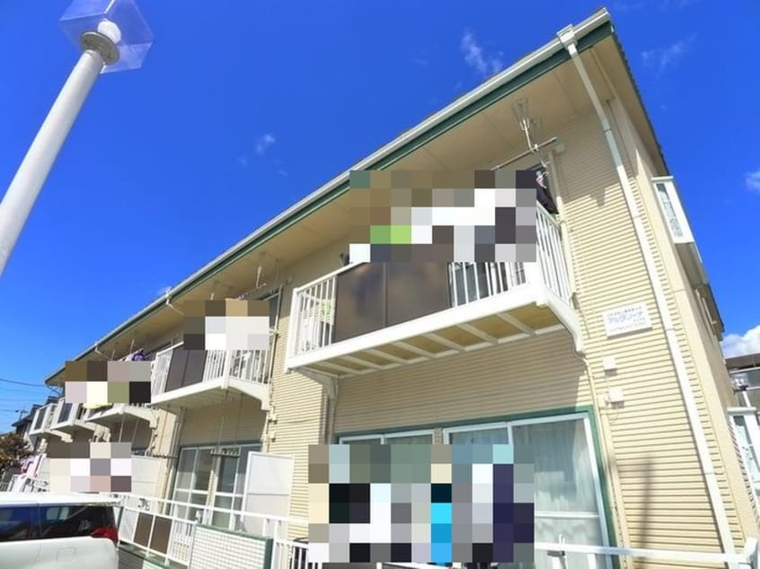 その他 アルタソ－ナ