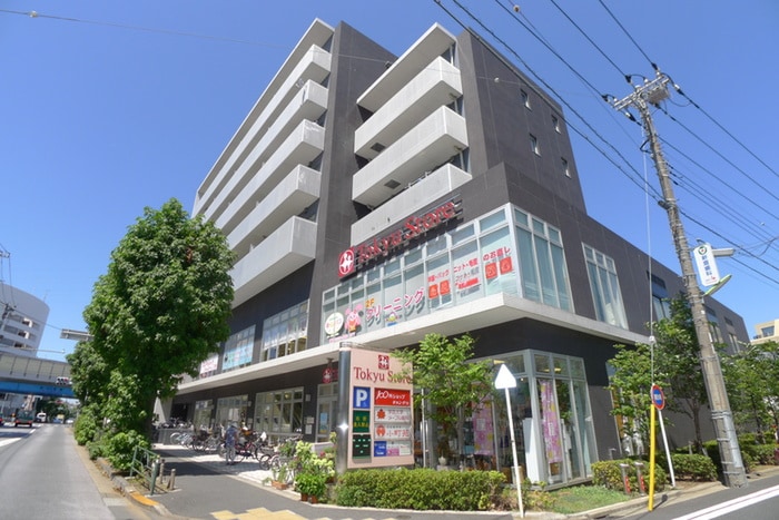 駒沢通り野沢東急ストア(スーパー)まで591m SOPHIA SUIET