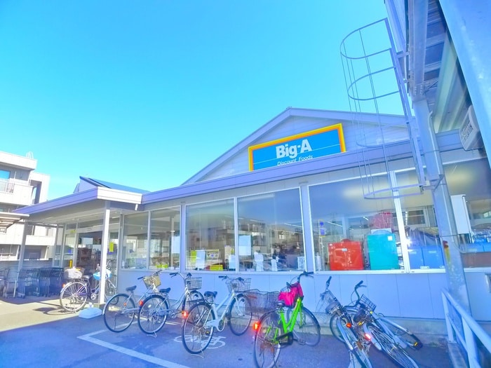 BIG-A(スーパー)まで790m トレボーンミモミⅡ