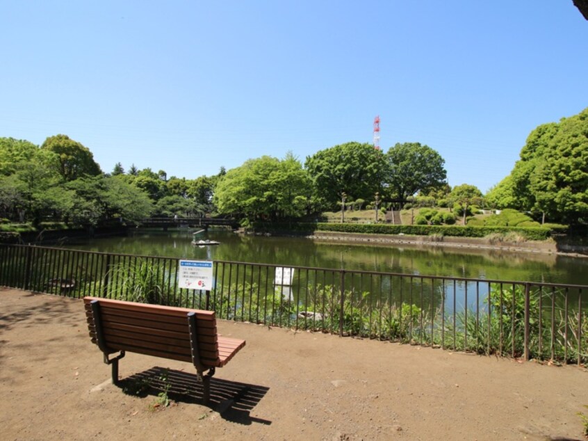 鹿沼公園(公園)まで333m メイプルアネックス