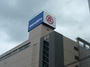 丸広飯能店(デパート)まで250m パ－クサイドアベニュ－