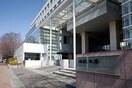 法政大学　小金井キャンパス(大学/短大/専門学校)まで550m ハウスア－ビュ－タス