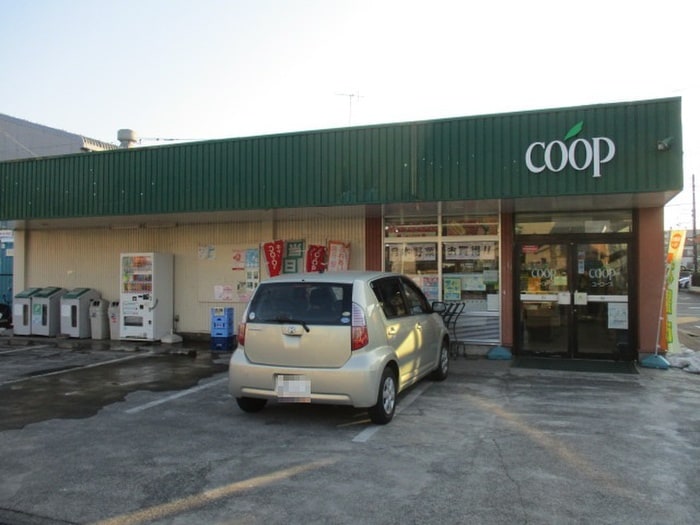 coop(スーパー)まで250m DALTON