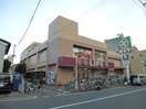 ライフ東向島店(スーパー)まで491m オープンブルーム東向島west