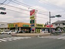 ツルハドラッグ町田忠生店(ドラッグストア)まで759m グランドゥール町田忠生