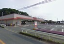 しまむら片山店(スーパー)まで450m 前原並木ハイツ