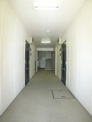 その他 サンハイツ上岡