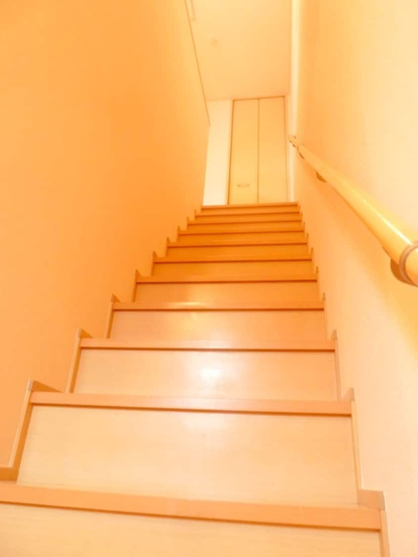 廊下 タウンハウス　セリージュ　Ａ