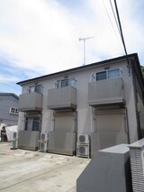 ハイムラグドール