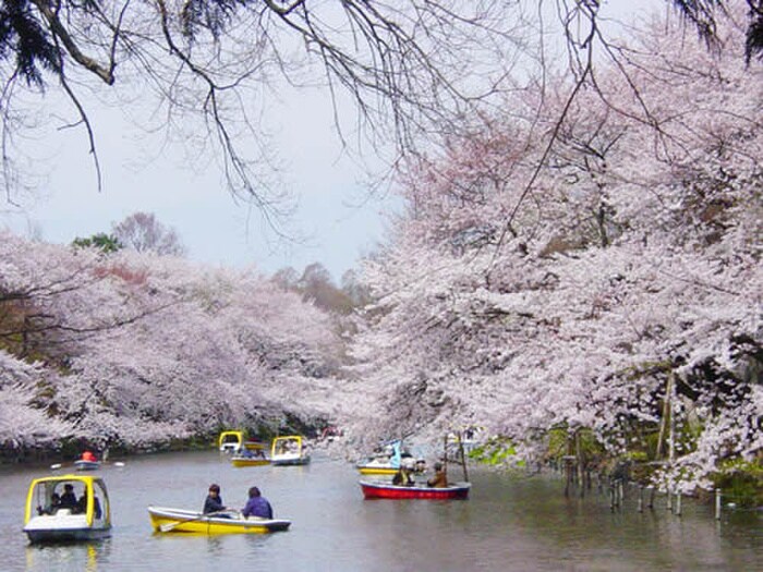 井の頭公園(公園)まで85m ラピュタ萩原