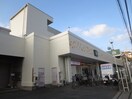 スーパーマーケットフジ野比店(スーパー)まで347m ア－クトゥルス