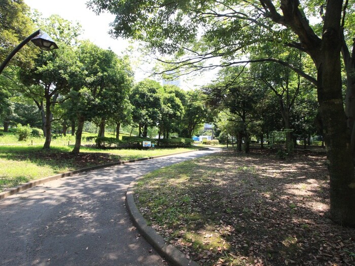 猿江恩賜公園(公園)まで652m チェスナット西大島