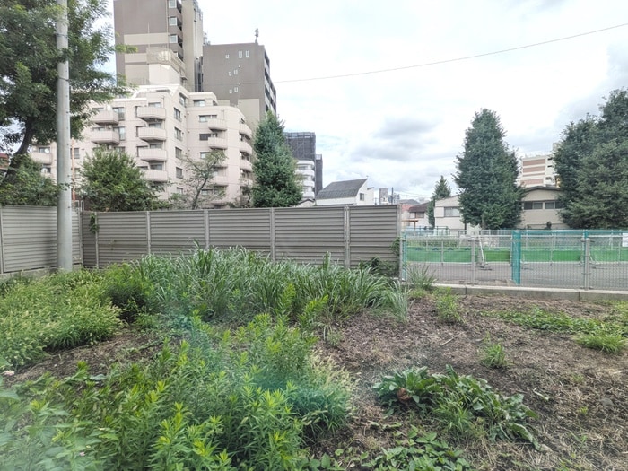 室内からの展望 コスモリード新宿余丁町