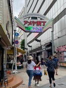 アメ横商店街(ショッピングセンター/アウトレットモール)まで714m レジディア秋葉原