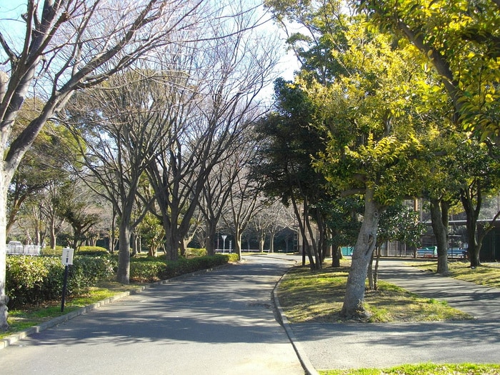 野島公園(公園)まで725m クレセント