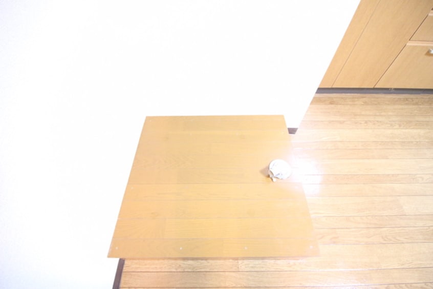 洗濯機置場 三信マンション