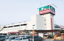 島忠　和光店(電気量販店/ホームセンター)まで704m 第２月見コ－ポ