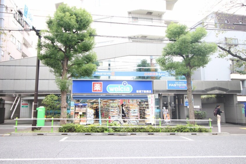 ウエルシア板橋下板橋店(ドラッグストア)まで507m アリビオ上池袋