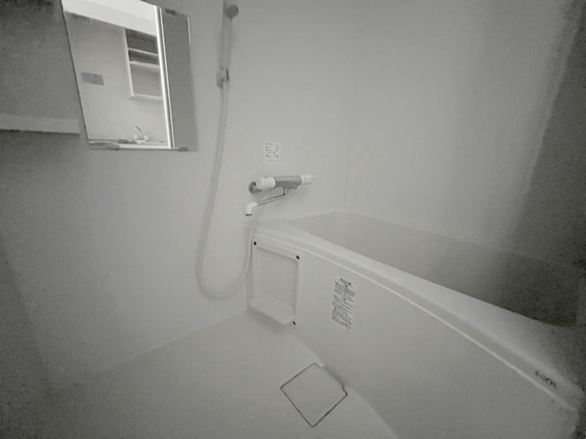 バス／シャワールーム等 ラク－ネⅡ