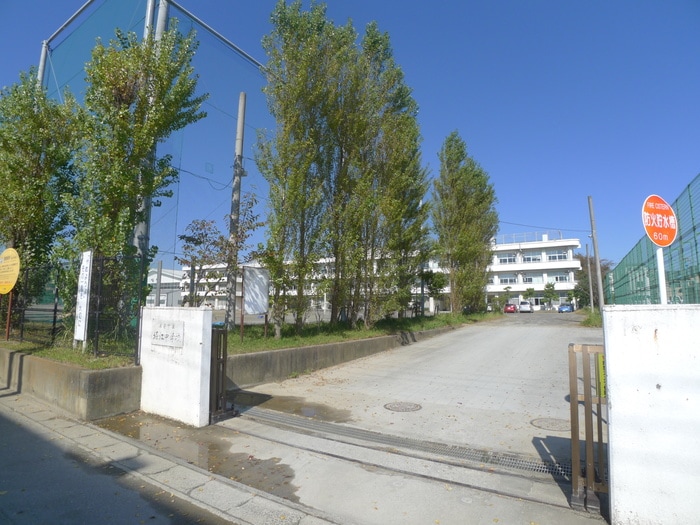 堀江中学校(中学校/中等教育学校)まで239m メゾンK＆O-１