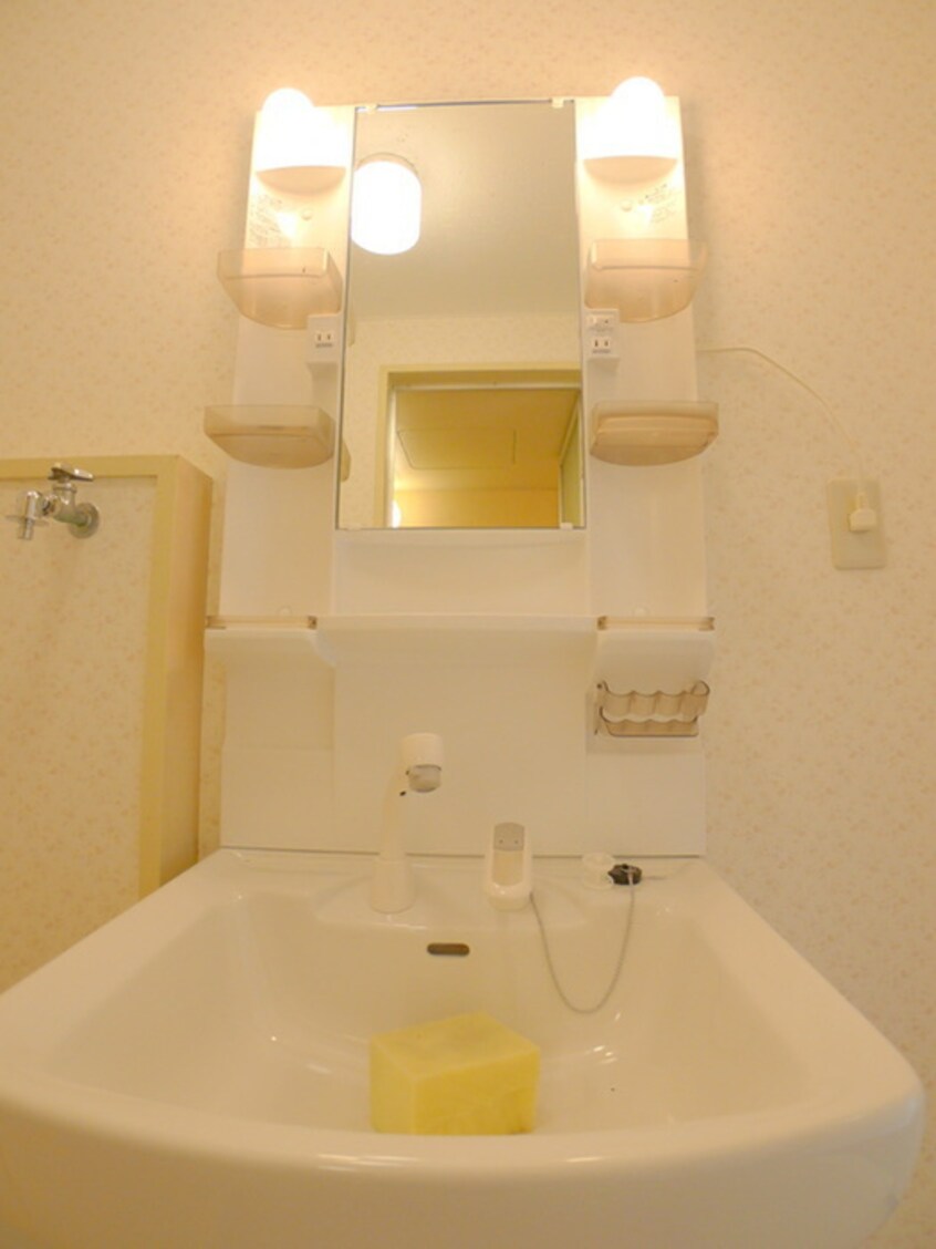 洗面 パーセル武創　２