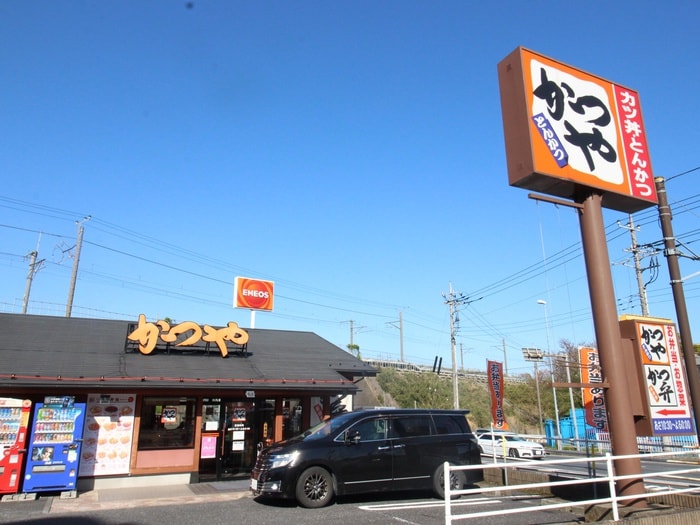 かつや横浜長津田店(スーパー)まで100m ＣｏＣｏ長津田