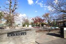 渋谷区立 代々木大山公園(公園)まで550m グランドゥ－ル代々木大山