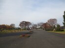 舎人公園(公園)まで599m サンフィールド皿沼