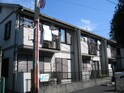完成写真