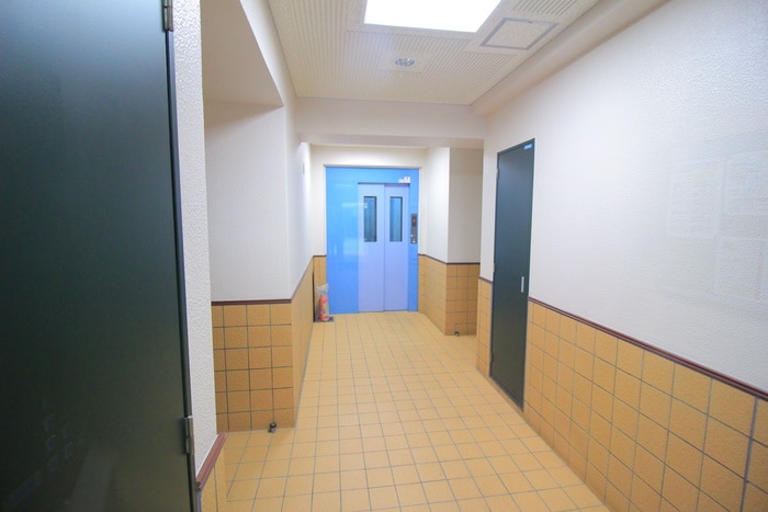 その他 Ｈｉ・ｇｒａｄｅ椿