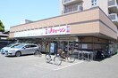 ジェーソン　府中若松店(ディスカウントショップ)まで500m ハイツハセガワ