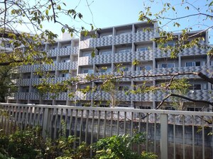 THE PREMIUM CUBE G 東中野(208)
