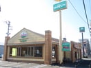 サイゼリヤ佐江戸店(その他飲食（ファミレスなど）)まで750m ウェルデンスD-stay　B棟