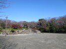 飛鳥山公園(公園)まで600m エスティメゾン王子