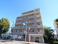 LINX　LEGAMI（205)