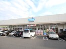 ウエルシア小田原南鴨宮店(ドラッグストア)まで600m リベラルハイツ