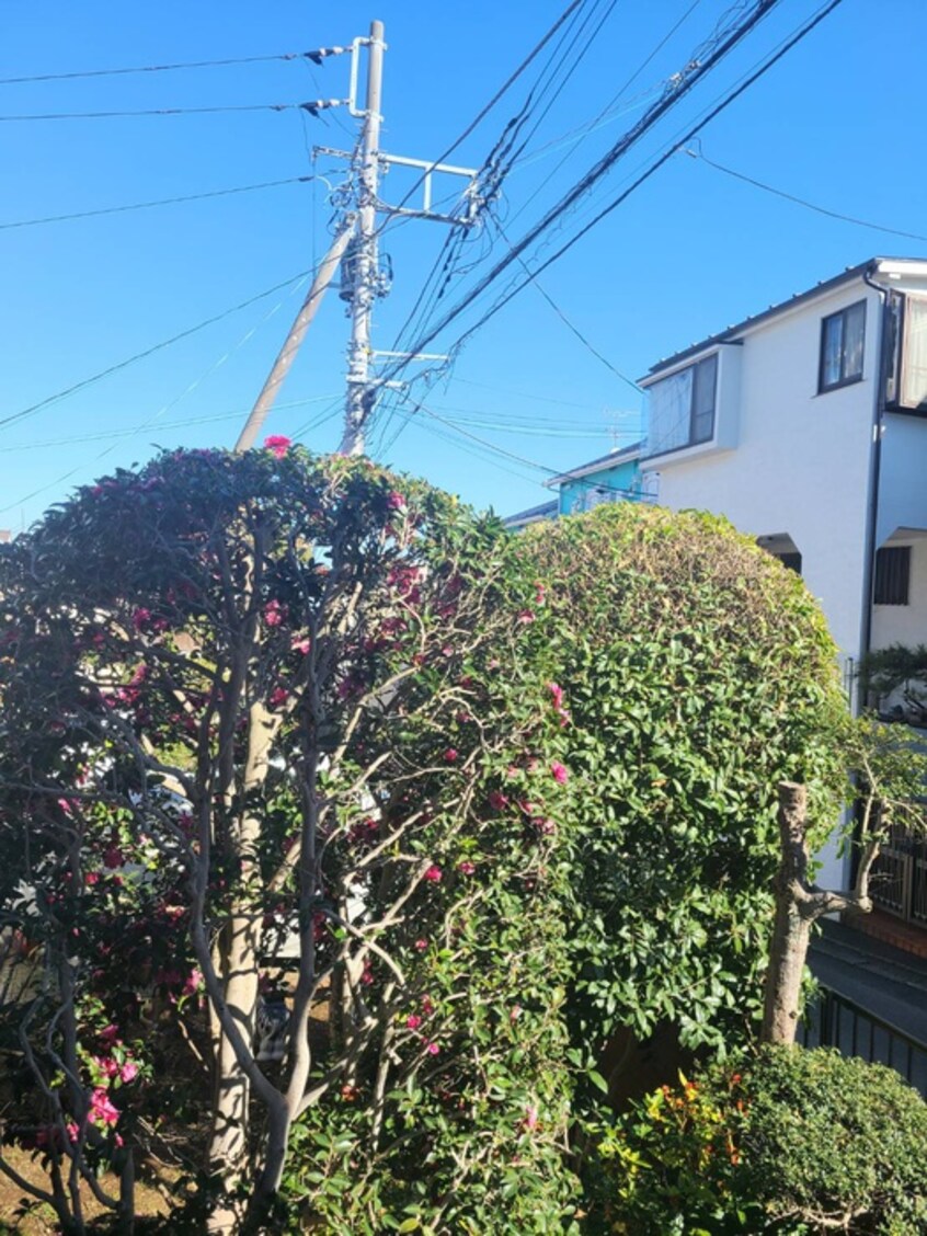 室内からの展望 クレオパトラ西生田