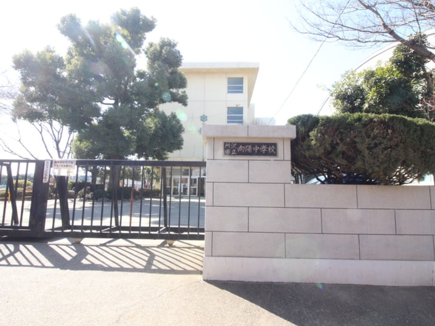 向陽中学校(中学校/中等教育学校)まで160m メゾン向陽