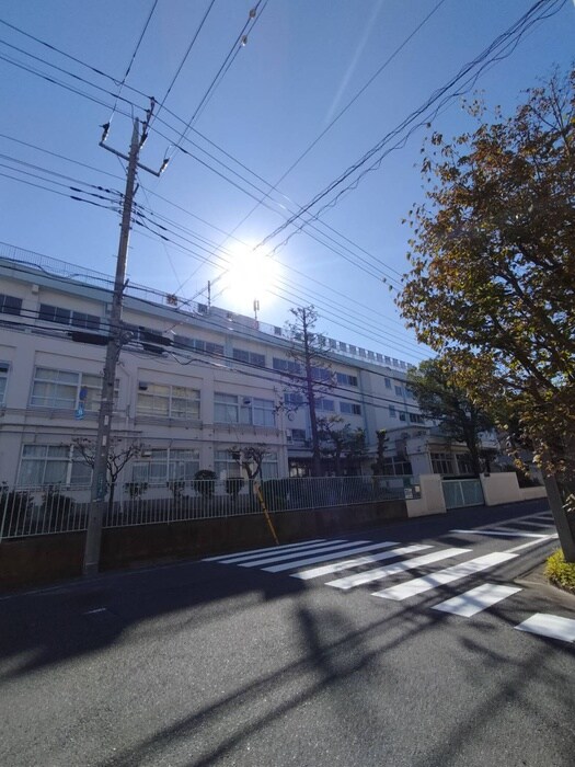 葛西第三中学校(小学校)まで600m サンジョイアゼロ